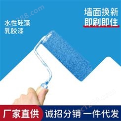 自销批发零售耐擦洗水性干粉墙面工程涂料20kg 硅藻泥