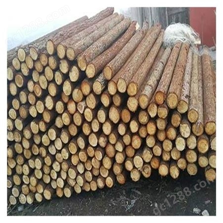 3米杉木杆批发 杉木原木 杉木棍 绿化杆材料出售 