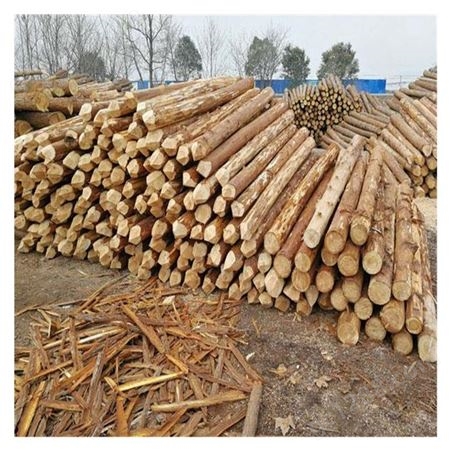 广西收购2米正材 松木原木 杉木原木 木材加工