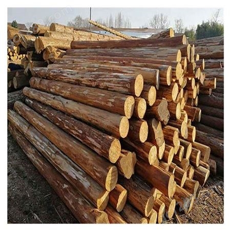 3米杉木杆批发 杉木原木 杉木棍 绿化杆材料出售 