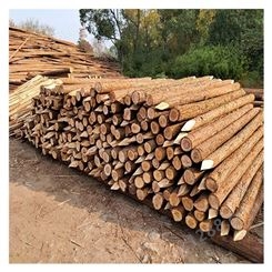 园林绿化材料 开封木材批发市场 杉木杆 树木支撑杆批发