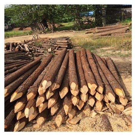 木材加工   3米杉木杆批发 杉木棍 绿化杆出售