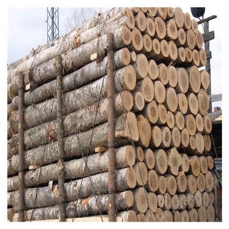 专业配送园林绿化材料 木材加工生产厂家 杉木杆批发 绿化杆出售