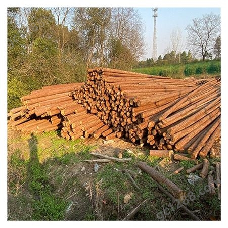 木材加工   3米杉木杆批发 杉木棍 绿化杆出售