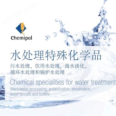 水处理絮凝剂 阴离子阳离子絮凝剂Chemifloc A 饮用水处理无丙烯酰胺残留