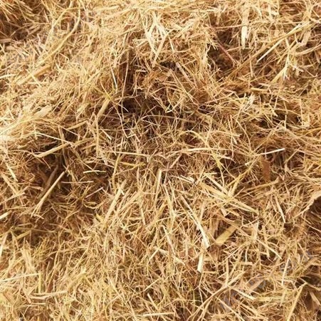 边坡草纤维 嵩杰草纤维 草纤维增加有机质 货源充足