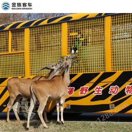 上海金旅猛兽野兽区观光车电瓶观光车收费方案