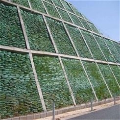 边坡防护 抗抗土工 框架梁填充护坡绿 框架梁绿化 欢迎来电河北恩元