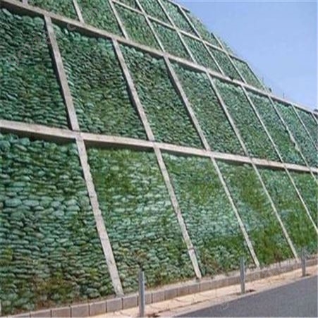 边坡防护 抗抗土工 框架梁填充护坡绿 框架梁绿化 欢迎来电河北恩元
