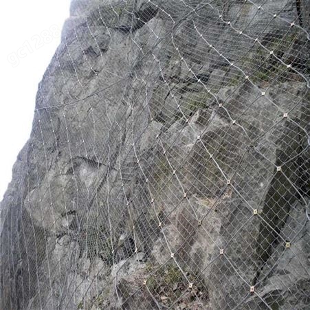 自然灾害主动边坡防护网镀锌钢丝绳网 主动防护网 恩元