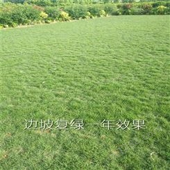 恩元建设承接生态修复 矿山复绿 护坡草种子 生态治理 重庆边坡绿化