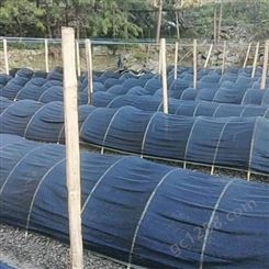 多针加密农用大棚遮阳网 羊菌菇种植楼顶庭院防晒网 工地裸土覆盖网
