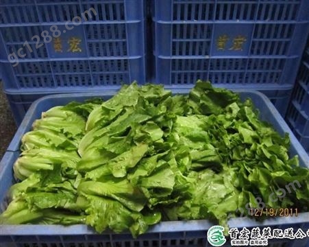 配送服务_超市蔬菜配送中心_首宏蔬菜配送公司