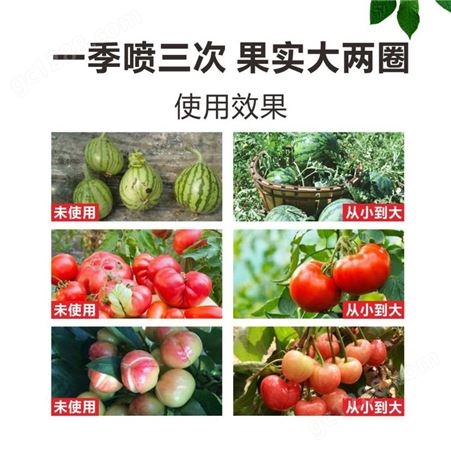 从小到大膨果 苹果草莓专用果实膨大剂叶面肥
