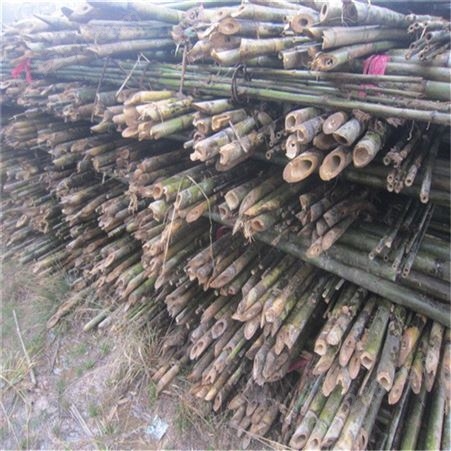 产地直销2021年新品竹竿 绑扶矮化苹果树苗专用的4米小竹竿