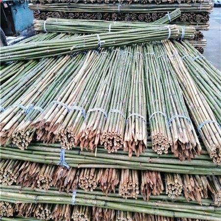 批发小山竹 2米-6米小竹竿