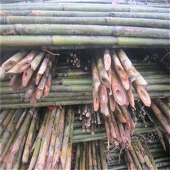 供应5米竹竿 农用 园林 养殖绿化搭架用的竹竿批发