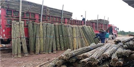 2米-4米竹竿子批发 蔬菜搭架 果树支撑 装修建材 旗杆