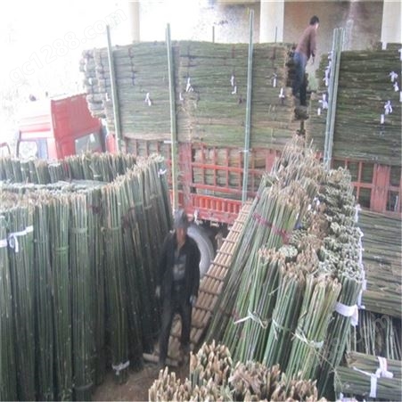 农村用的小竹竿 农业生产 篱笆庭院 蔬菜支撑杆