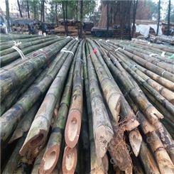 农用竹杆、工地竹杆、绿化竹杆、园林竹杆总批发