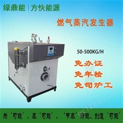 豆腐豆制品厂蒸汽发生器全自动 产汽快热效率高 燃气蒸汽发生器
