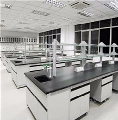 实验室操作台 钢木台 化验室工作台厂家 物理实验桌子